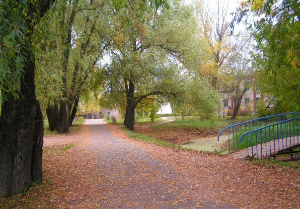 фото школы