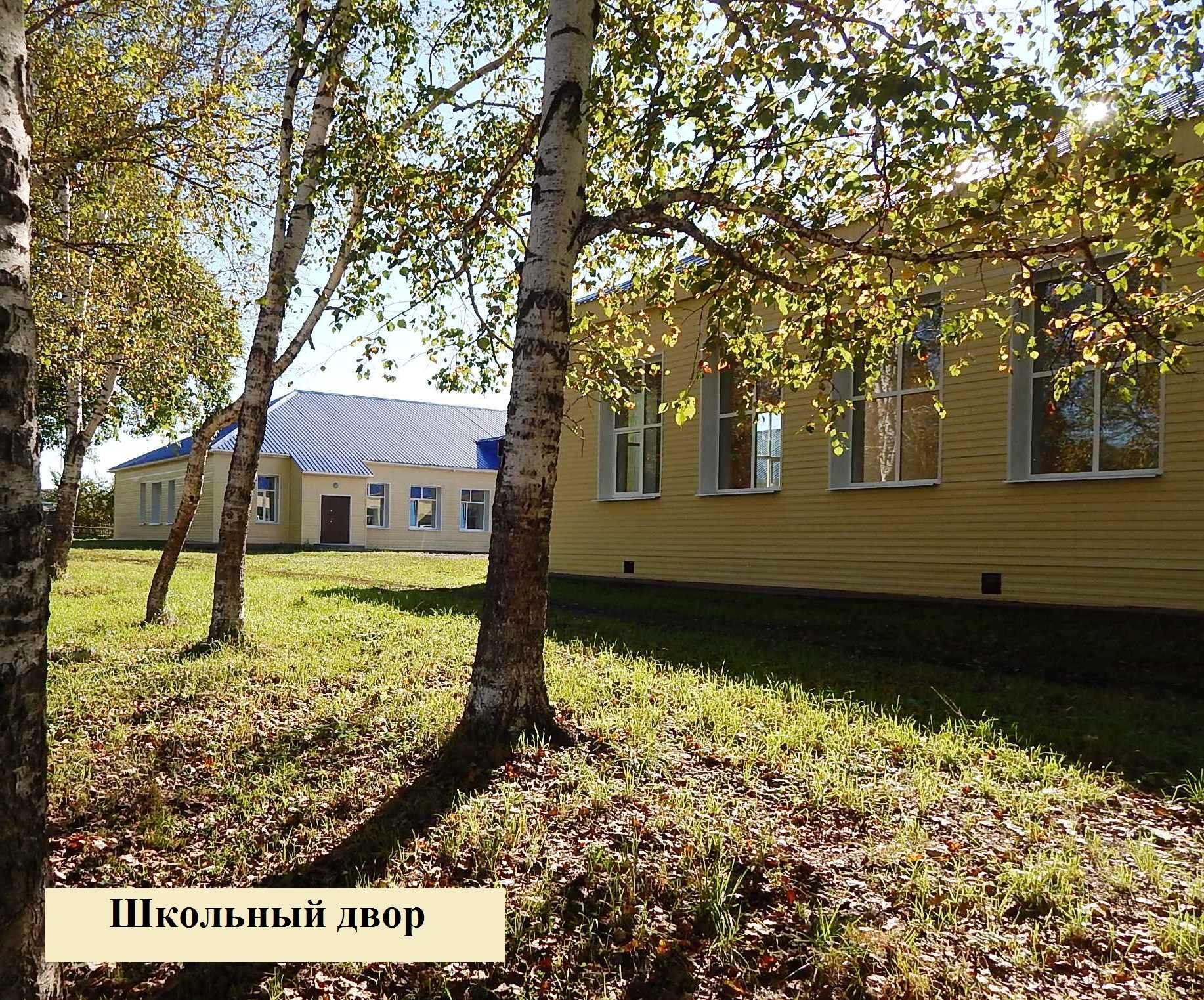 фото школы