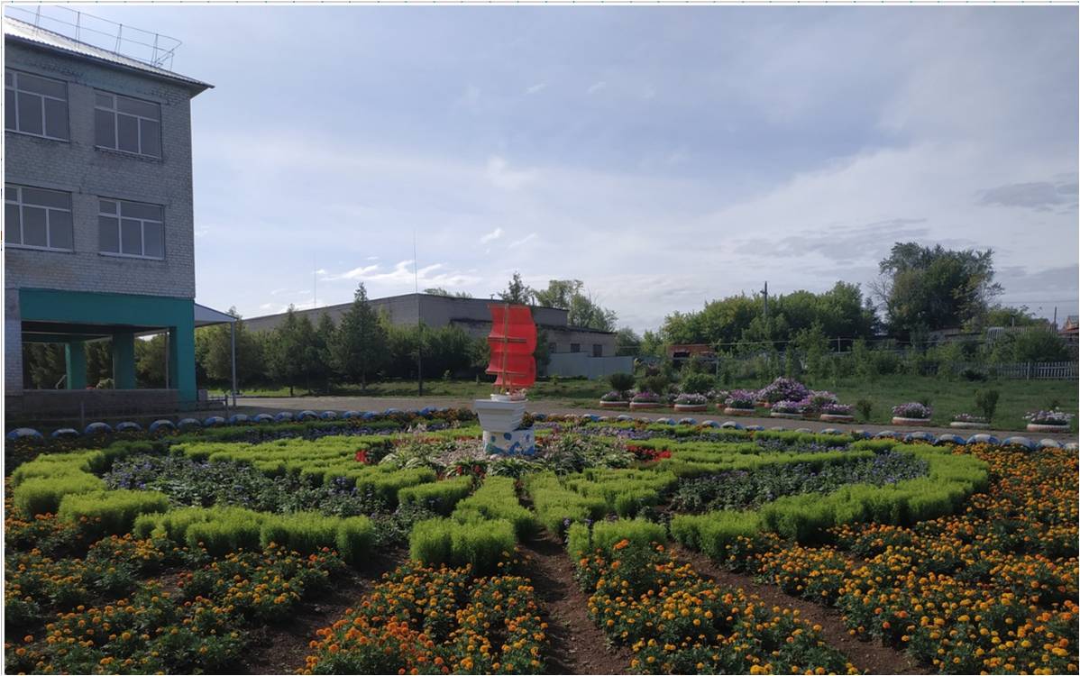 фото школы