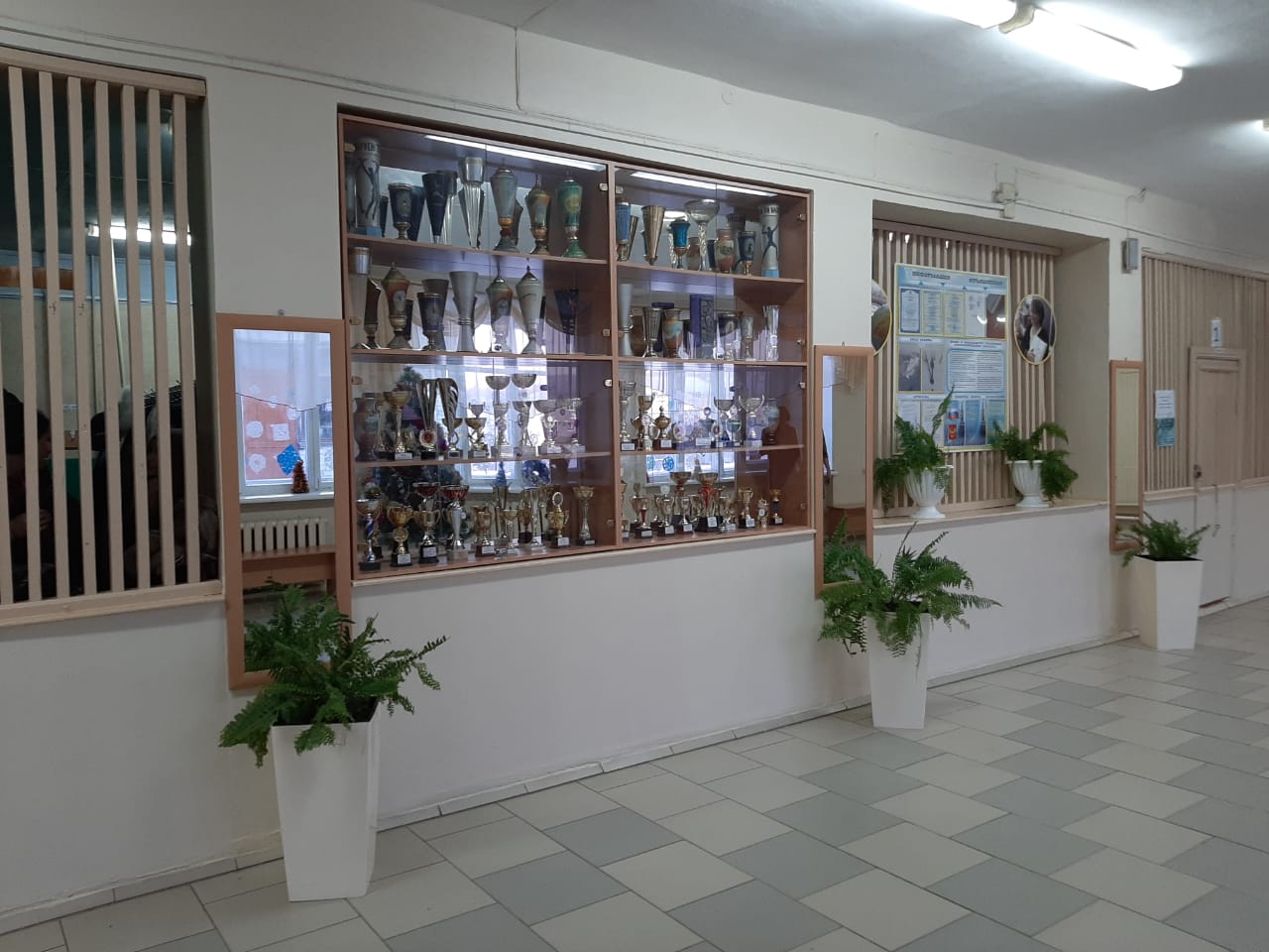 фото школы