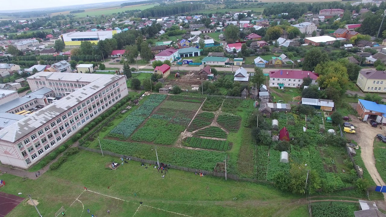 Мари турек центр. Поселок Мари Турек. Ледовый дворец Мари Турек.