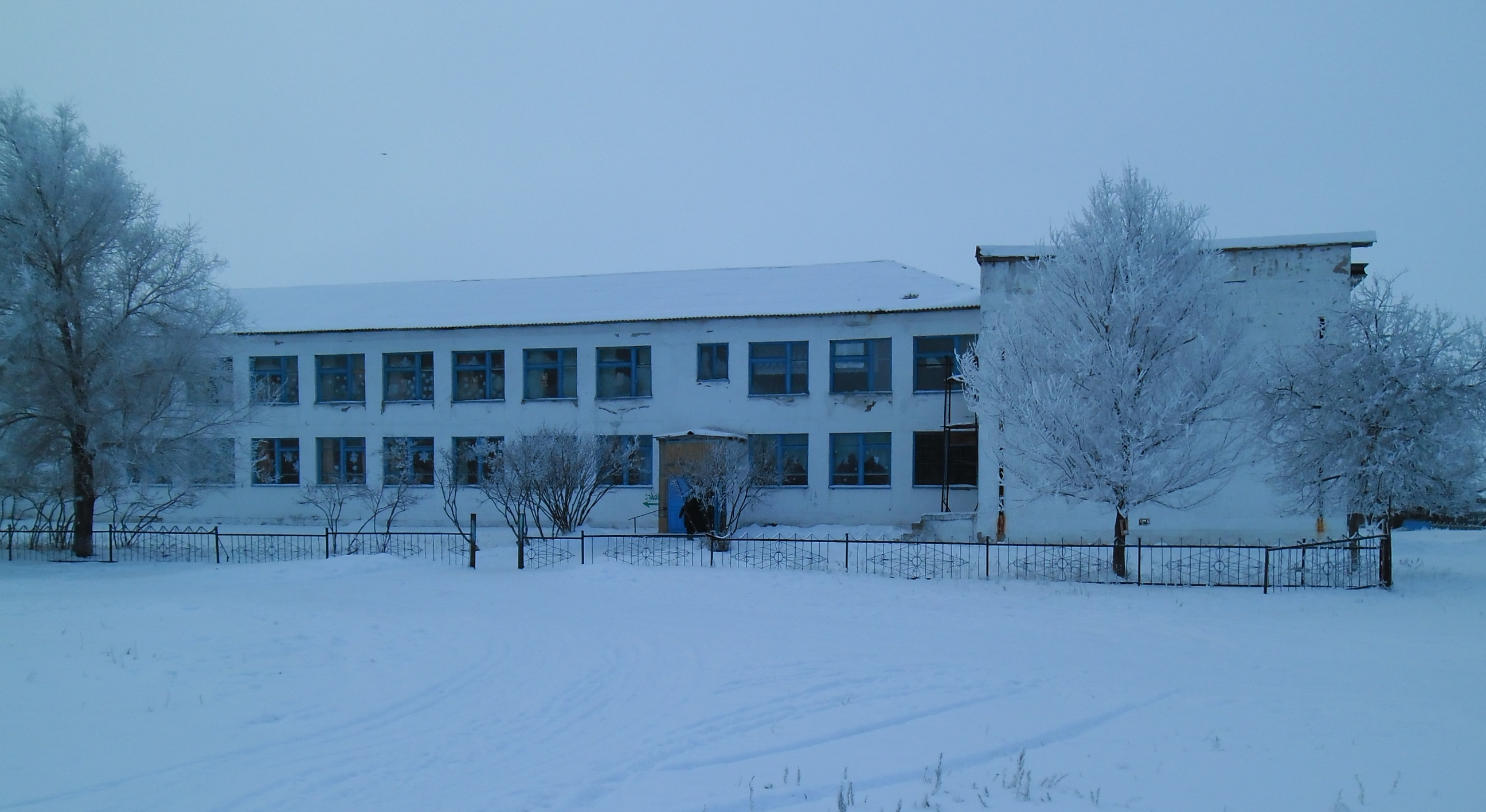 фото школы