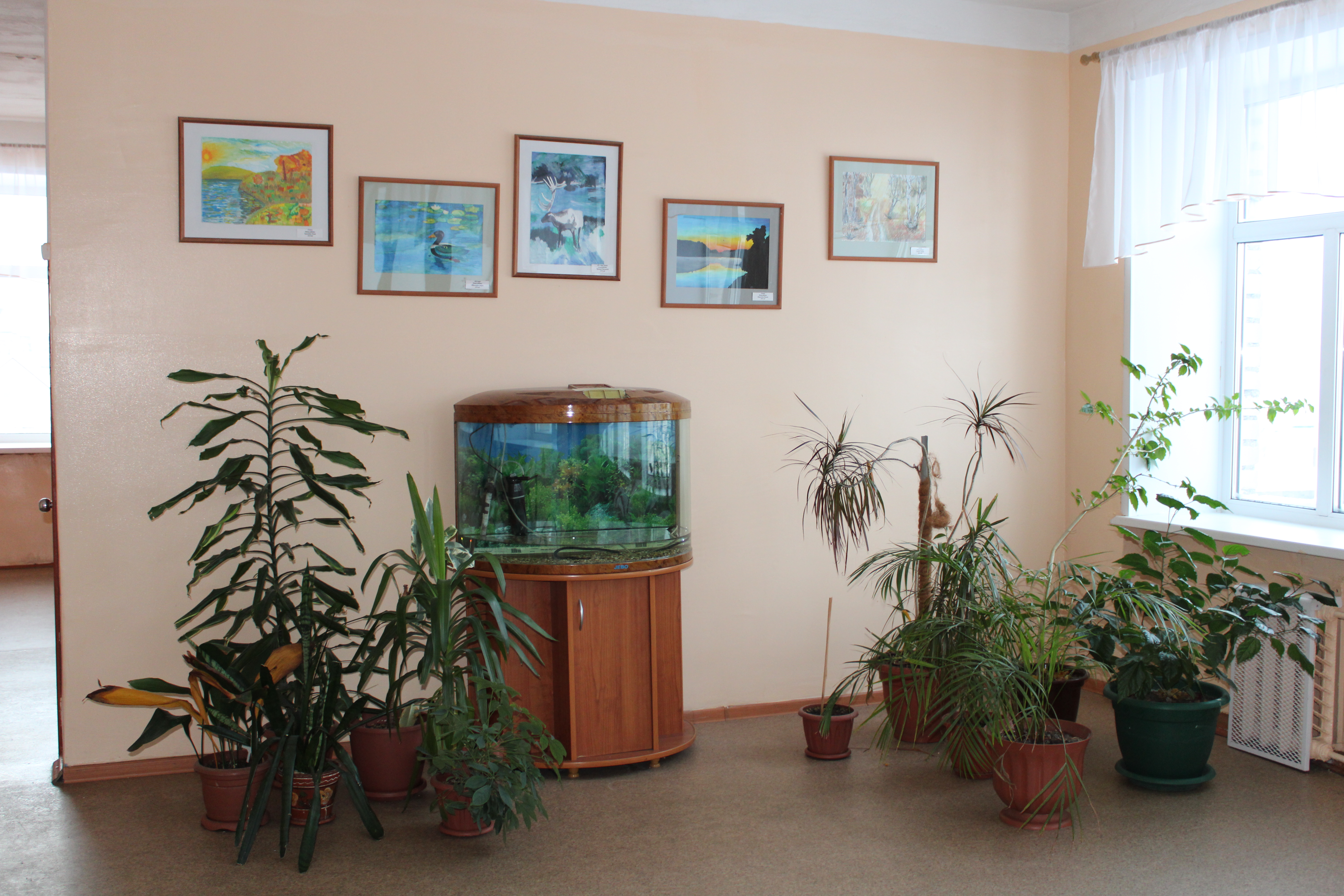 фото школы