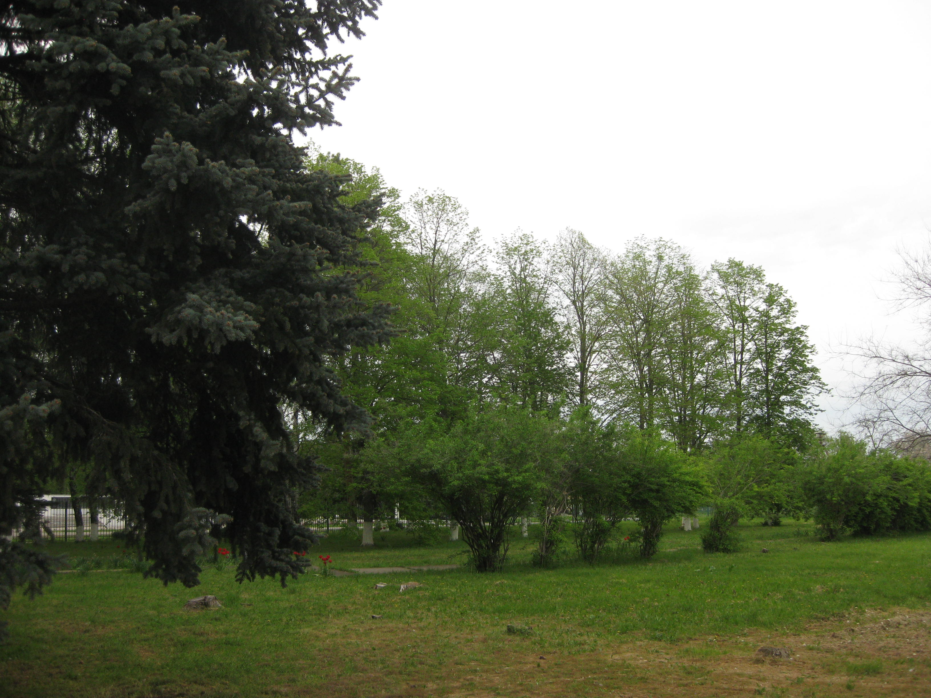 фото школы