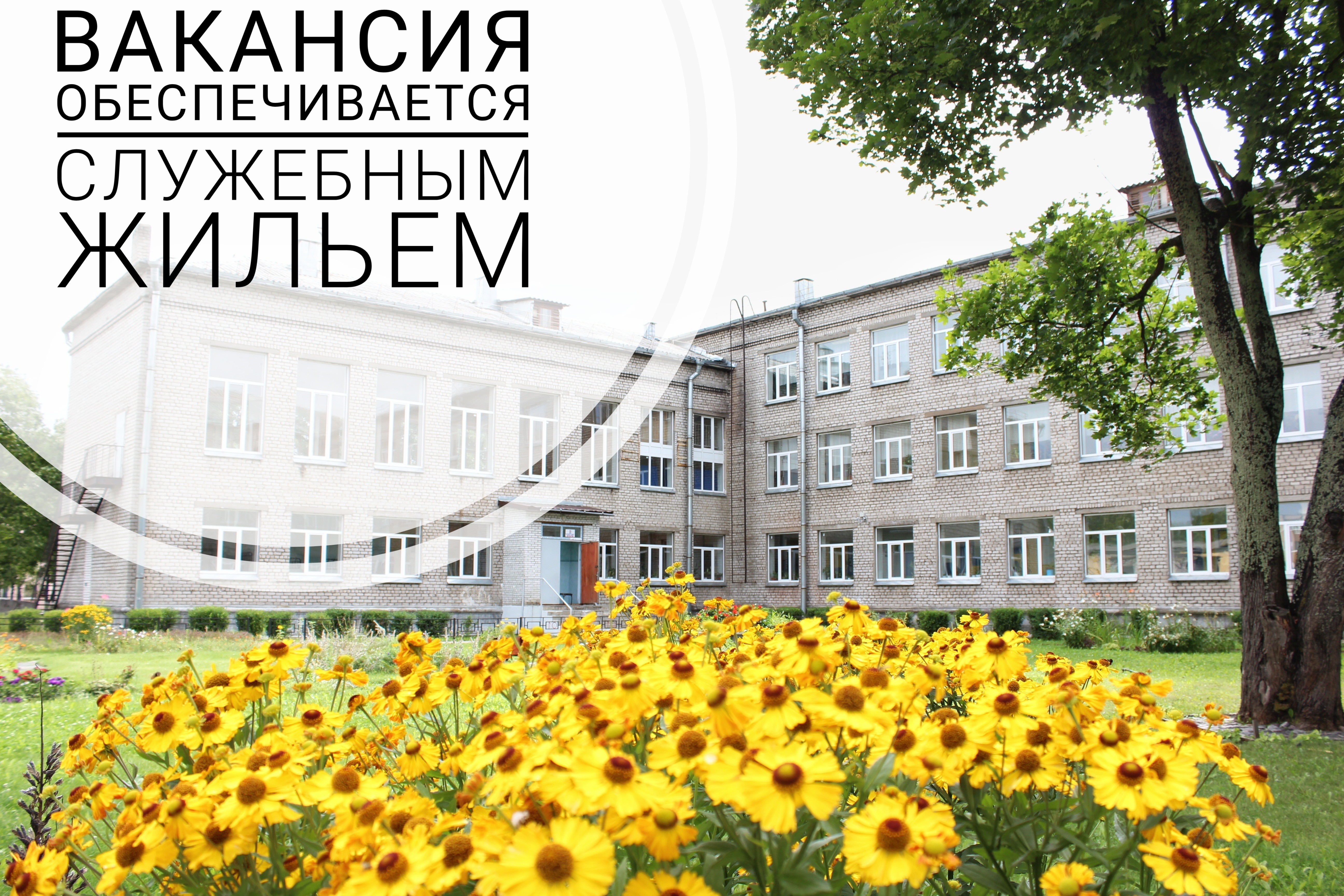 фото школы