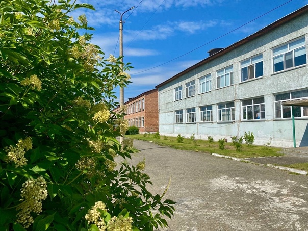 фото школы