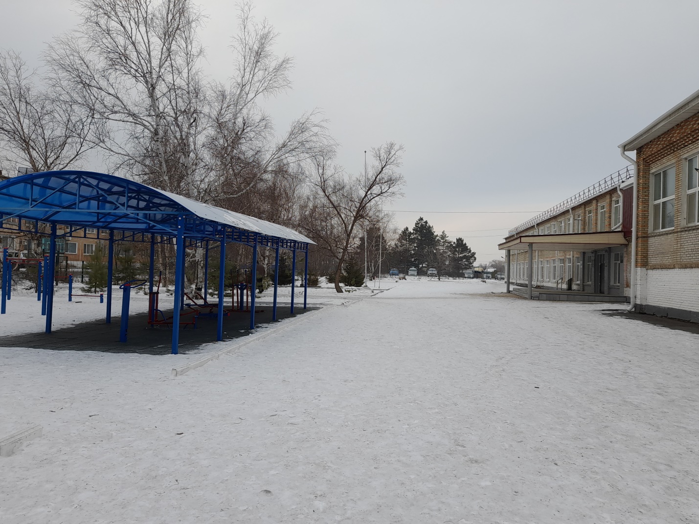 фото школы